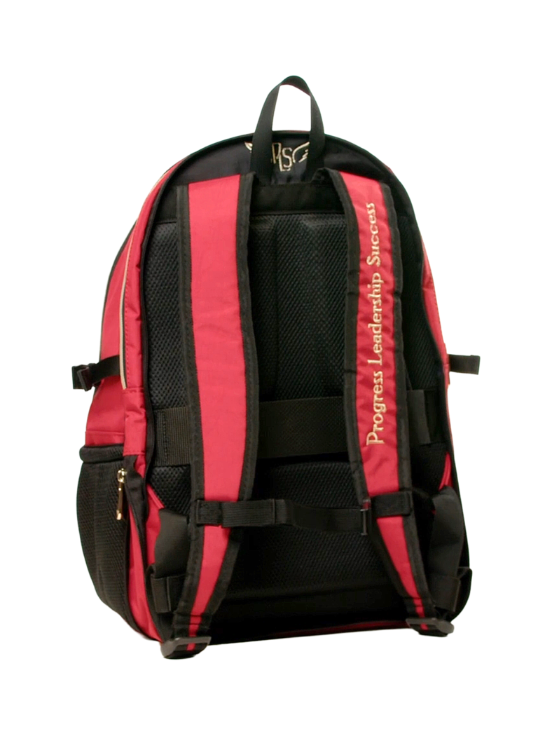 P.L.S "Champion-2" Gymnastics Backpack, Gold Embroidery (L) Red* view 3