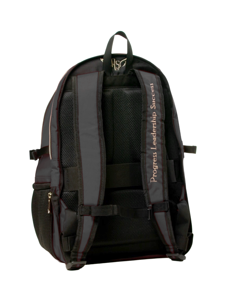 P.L.S "Champion-2" Gymnastics Backpack, Gold Embroidery (L) Black* view 2